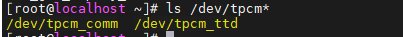 image-20251229194232737